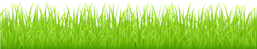 For This Example I Will Use This - Cartoon Grass Transparent Background - (850x206) Png Clipart Download For This Example I Will Use This - Cartoon Grass Transparent Background - (850x206) Png Clipart Download
