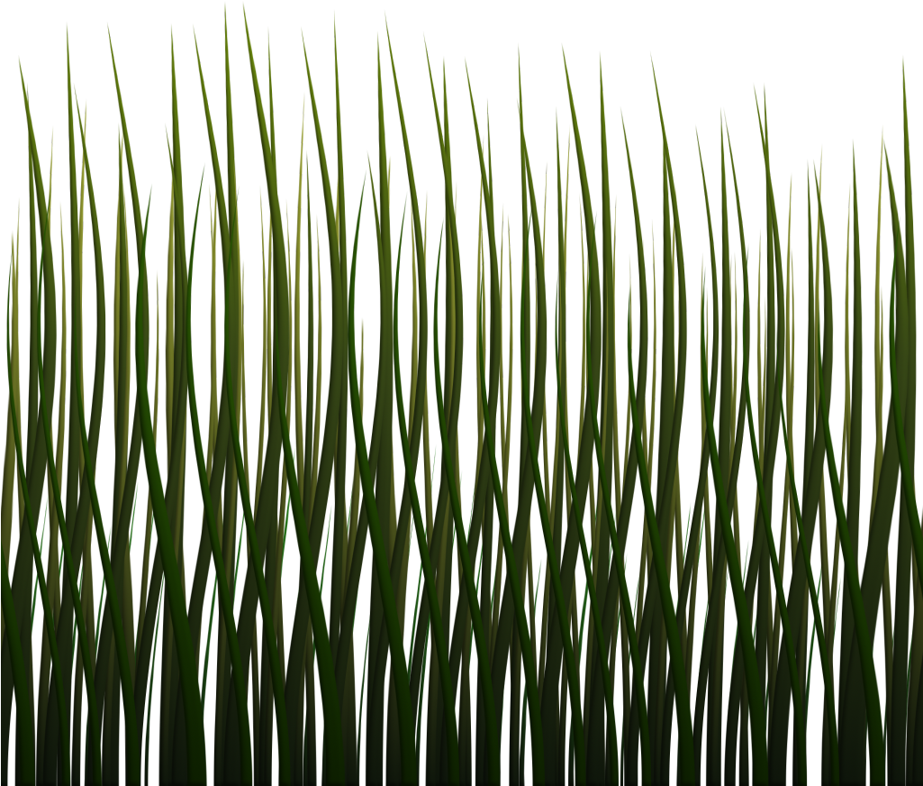 1024 X 1024 Png - Grass (1024x1024)