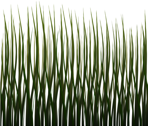 1024 X 1024 Png - Grass Side Texture (512x512)
