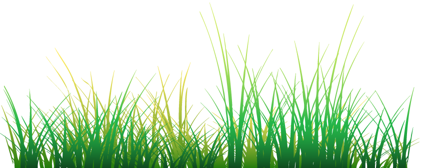 Grass Flash (844x337)