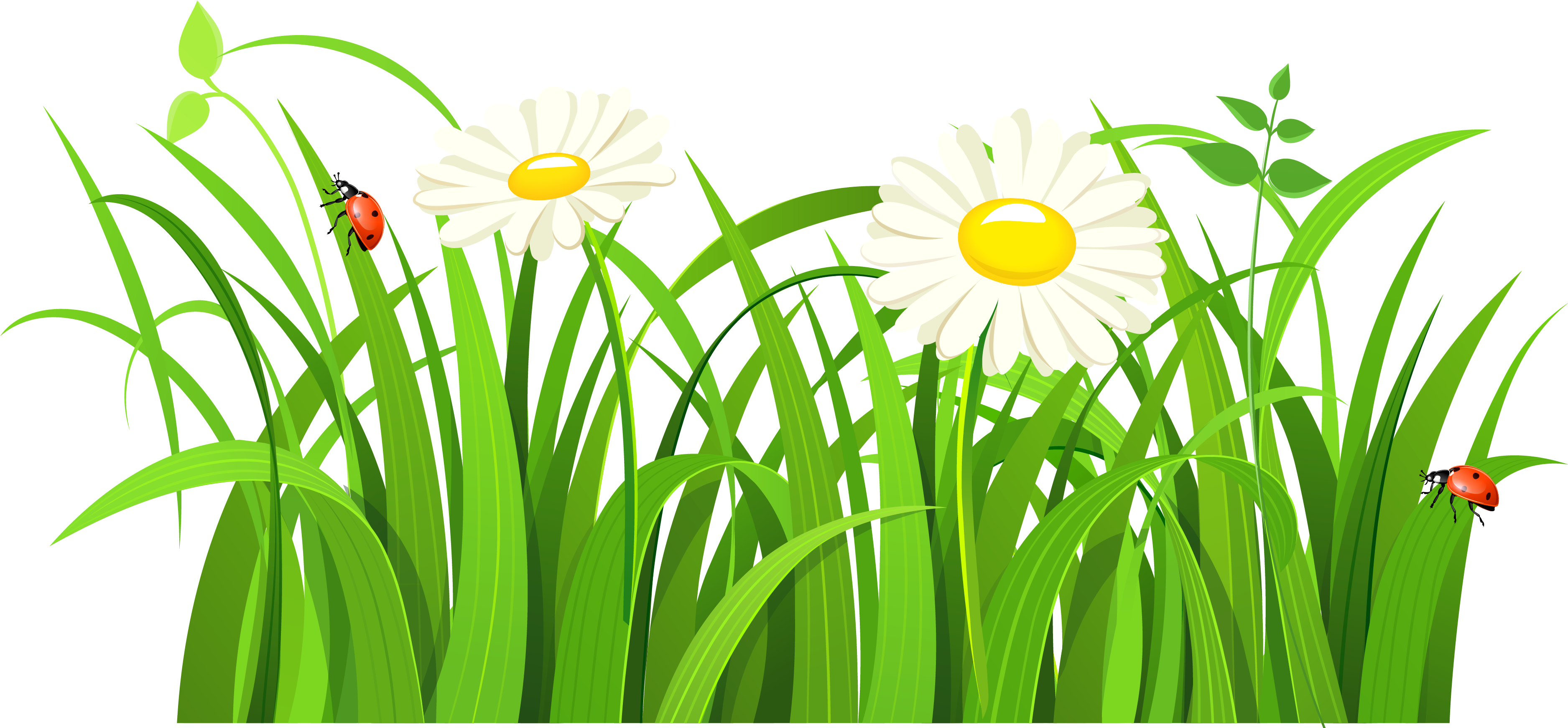 Free Clip Art Nature Trees Tree With Grass Clipart - Free Clip Art Nature Trees Tree With Grass Clipart (3830x1906)