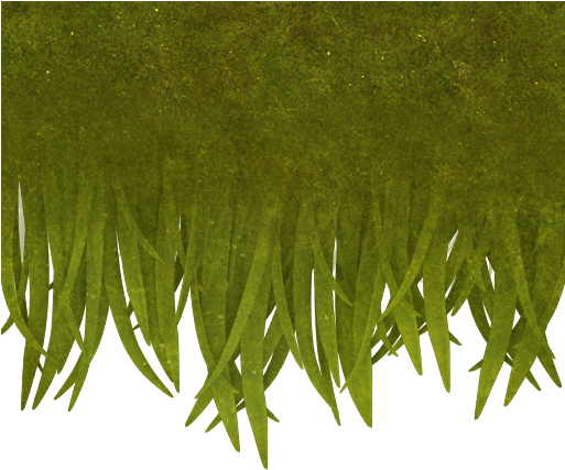 Generic Grassoverhang2 Col - Grass Overhang Texture (512x512)