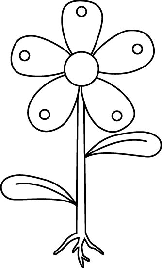 Flower With Roots Clip Art - Parts Of A Plant Clip Art Black (334x552)