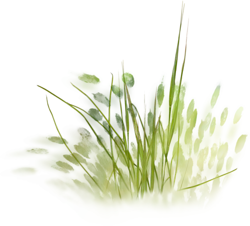 Nld Grass - Watercolor Grass Png (500x452)