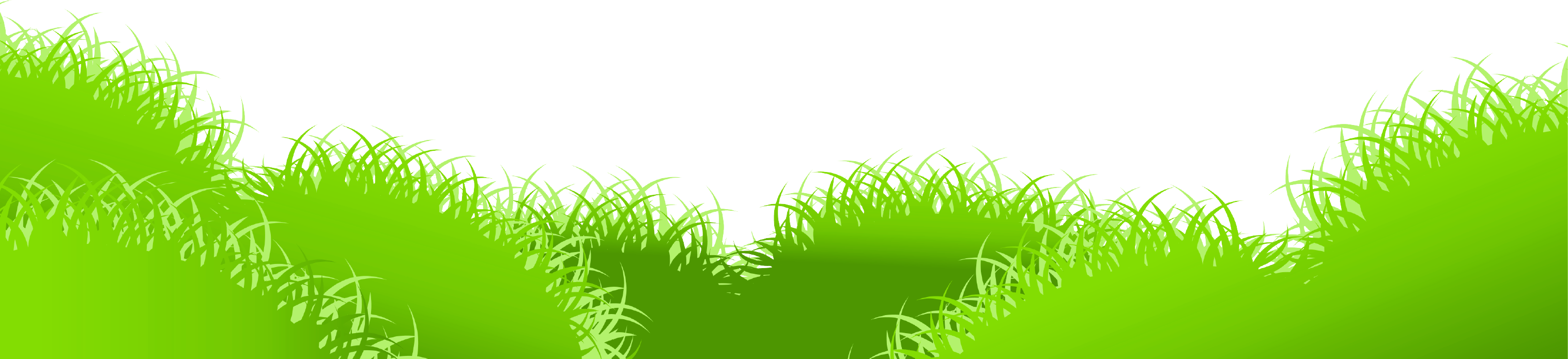 Colors Clipart Grass - Grass Clipart Png (3034x695)
