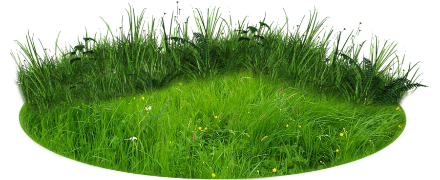 There Grass Png Image - Grass Effect Png (900x720)