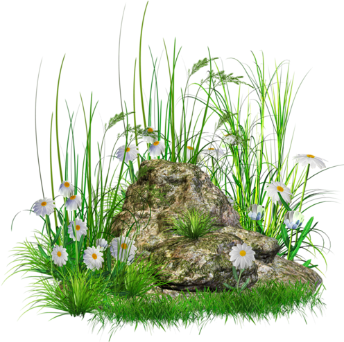 Stone With Grass And Flowers Png Clipart - Stone Png (505x527)
