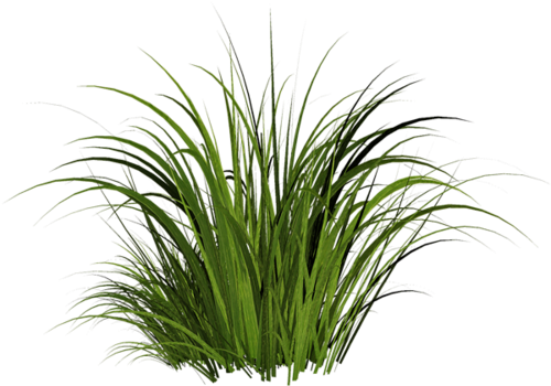Free Icons Png - Small Patch Of Grass (500x373)