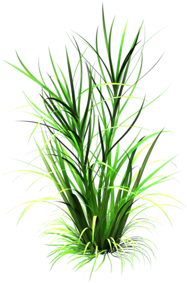Cartoon Grass Texture - Sweet Grass (600x598)