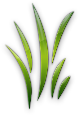 Blades - Blades Of Grass Clipart (420x420)