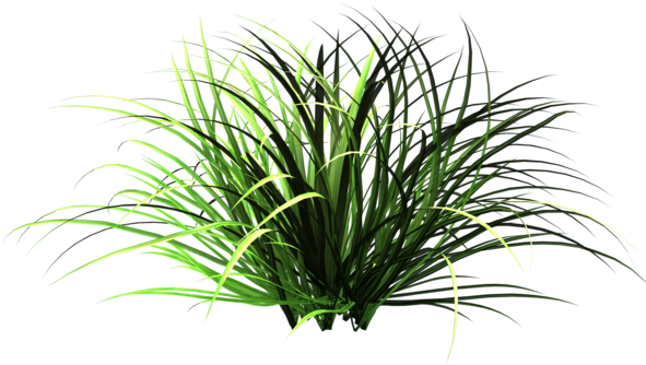 Free Icons Png - Small Patches Of Grass (600x568)