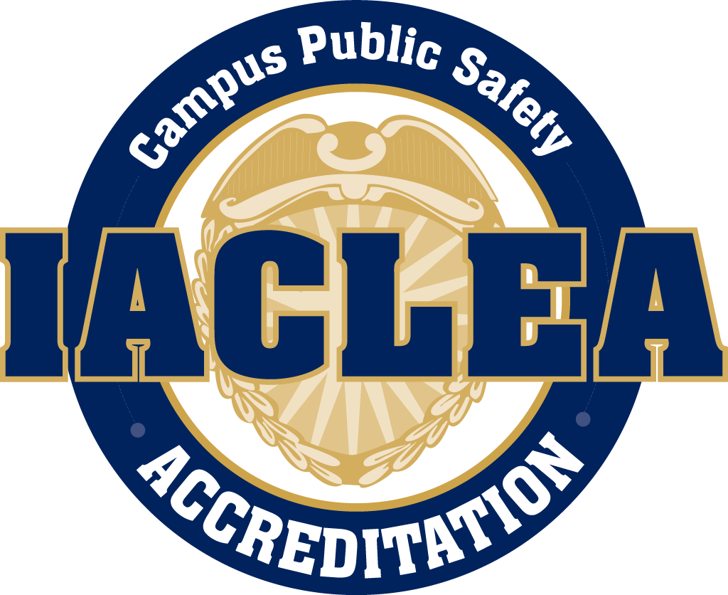 The Department Is Responsive To The Special Needs Of - Lamar Vikings Football (1024x836)