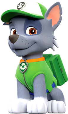Badge Walmart Exclusive - Rocky From Paw Patrol (480x445)