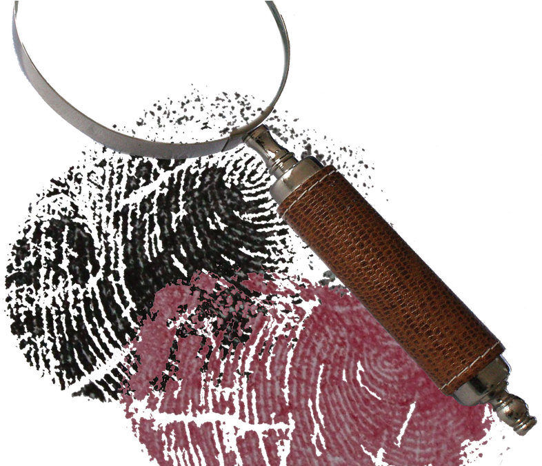 Sherlock Holmes Incontra Il Commissario Adamsberg - Detective (853x675)