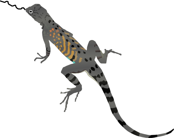 Lizardtongue Clip Art - Lizard Clipart (600x475)