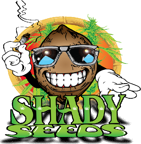 Sy355 - Cartoon (512x512)