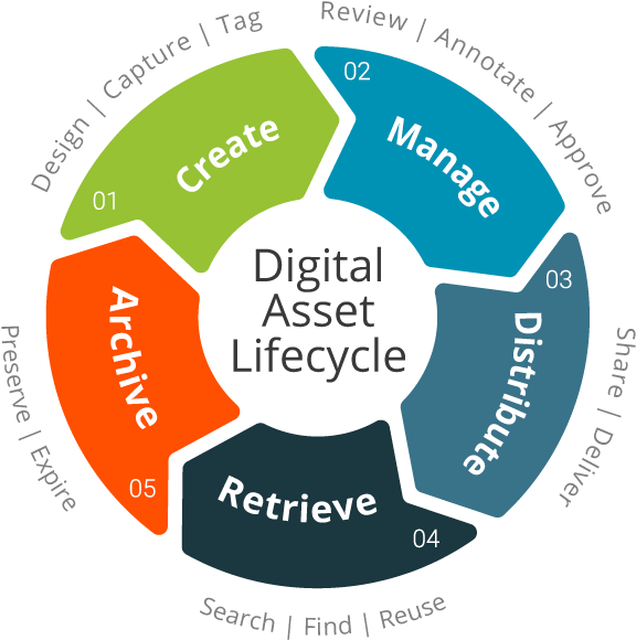 Digital Asset Management System (600x600)