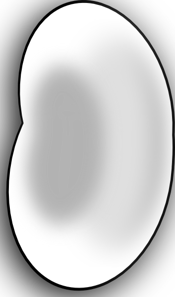 Vector Graphics (354x600)