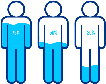 Body Water Loss - Water Percentage In Human Body (400x320)