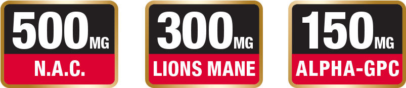 Pre-workout (1200x200)