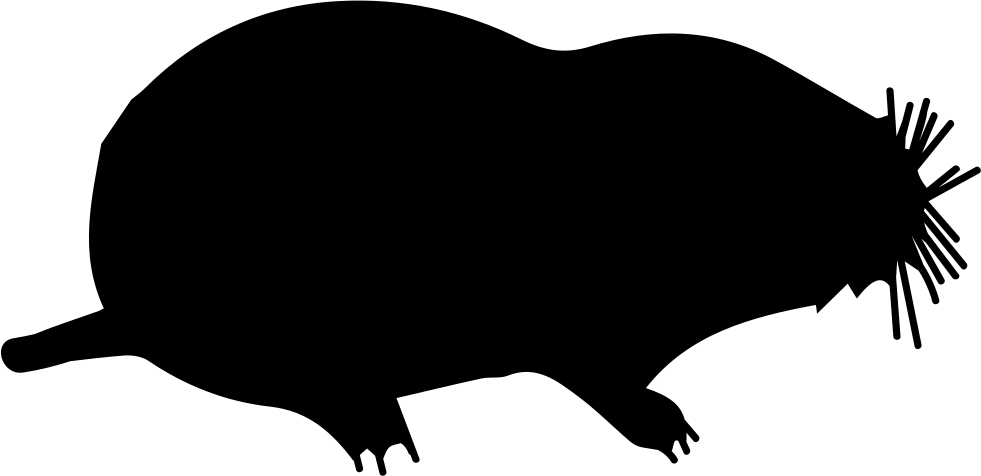 Mole Mammal Animal Shape Svg Png Icon Free Download - Icon (981x476)