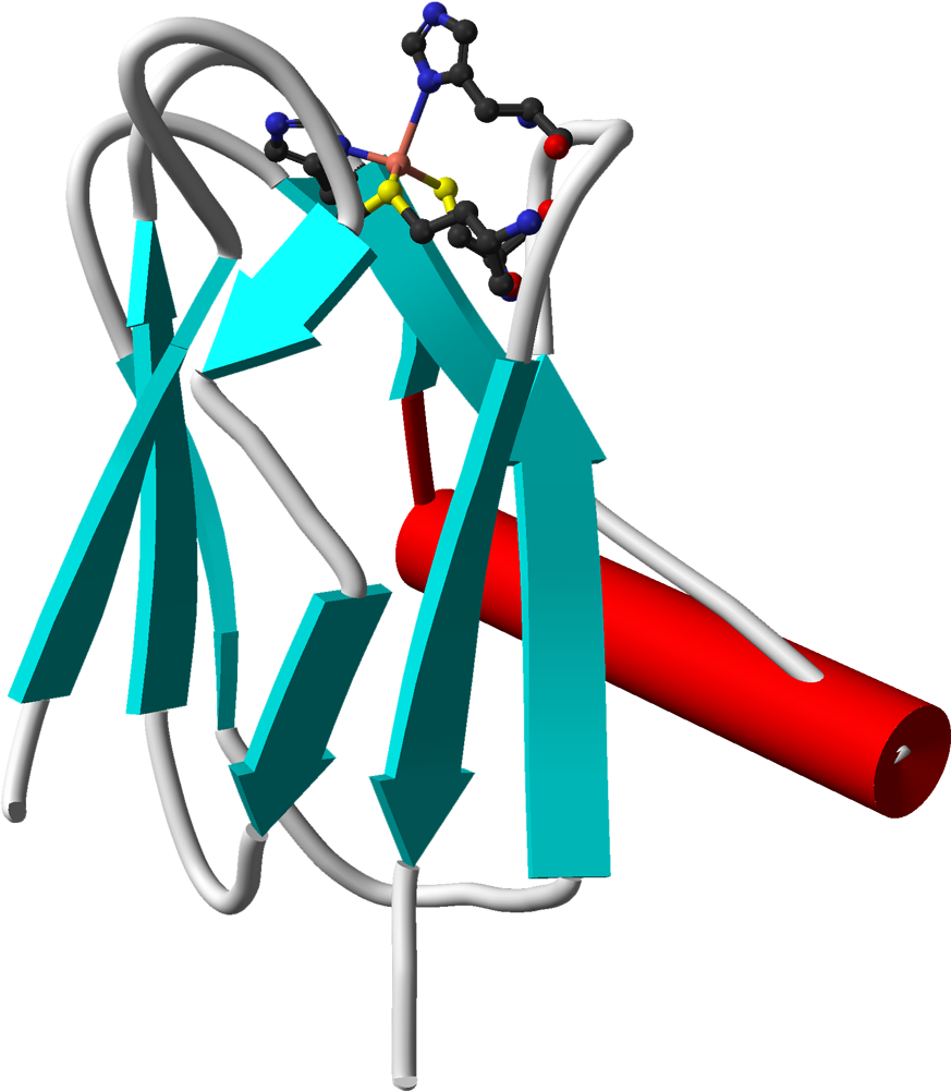 Plastocyanin From 3bqv 3d Cartoon Balls - Plastocyanin (972x1100)