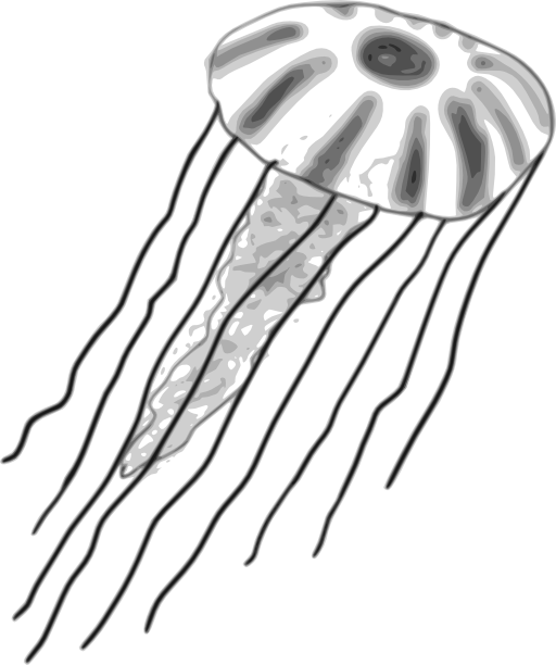 Jellyfish - Jellyfish Clipart In Black And White Png (512x612)