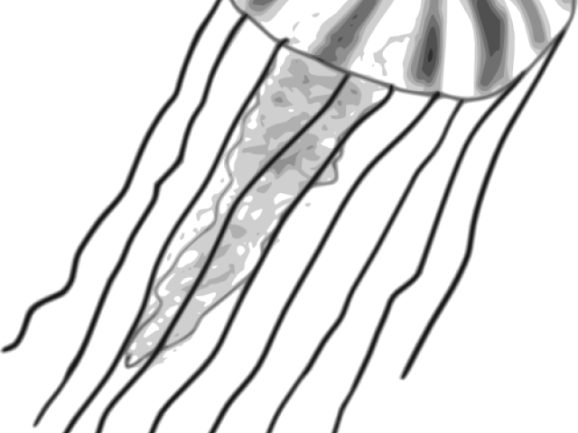 Jellyfish Clipart Box Jellyfish - Comics (640x480)