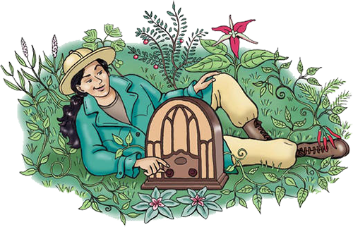 Plant Clipart Detective - Plants (500x322)