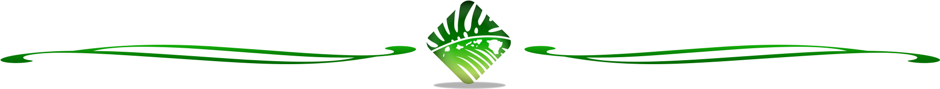 World Class Architecture Built To Last - Tropical Page Divider (1962x226)