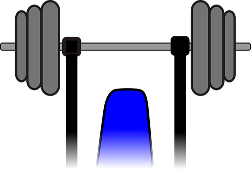 Weights Exercise Bodybuilding Equipment Be - Aparelhos De Musculação Desenho (496x340)