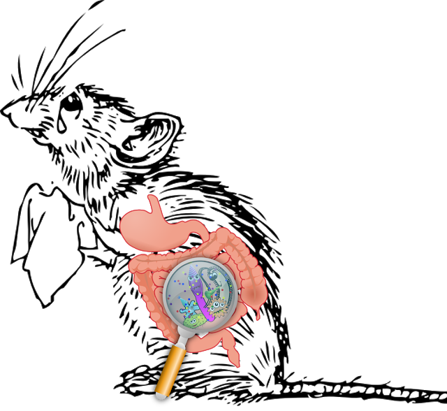 Aug - Mice Gut (640x588)