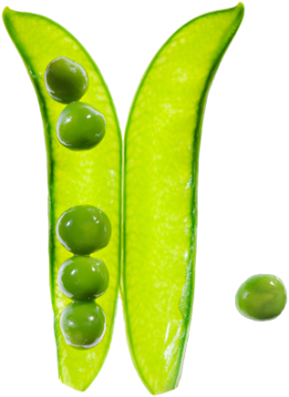 Family Law - Teaching For Creativity In The Common Core Classroom (335x457)