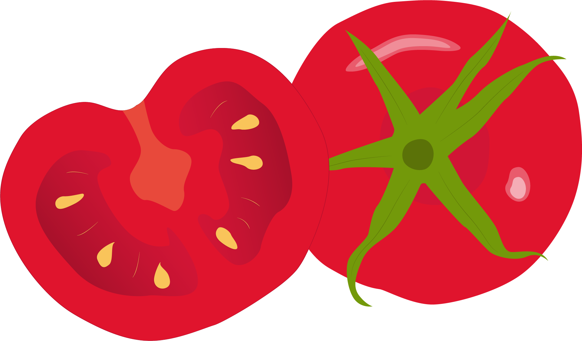 Tomato Clipart Png Image 02 - Portable Network Graphics (1878x1101)