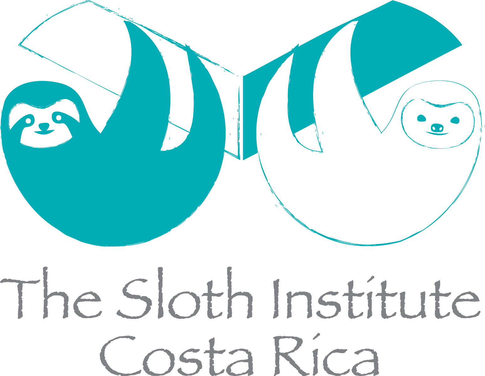 Sloth Institute Costa Rica (1546x1199)