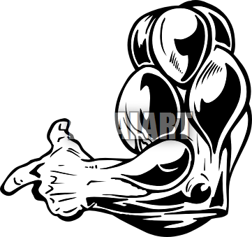 Muscle Arm Clip Art Clipart - Graphic Design (361x339)