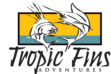 Tropicfins Adventures - Tropicfins Adventures (500x313)