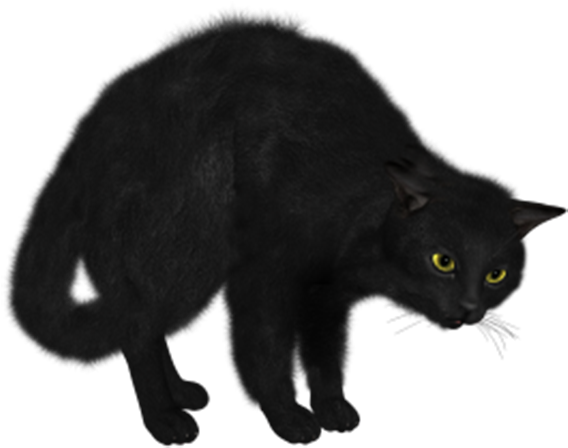 Norwegian Forest Cat Kitten Black Cat Clip Art - Norwegian Forest Cat Kitten Black Cat Clip Art (600x611)