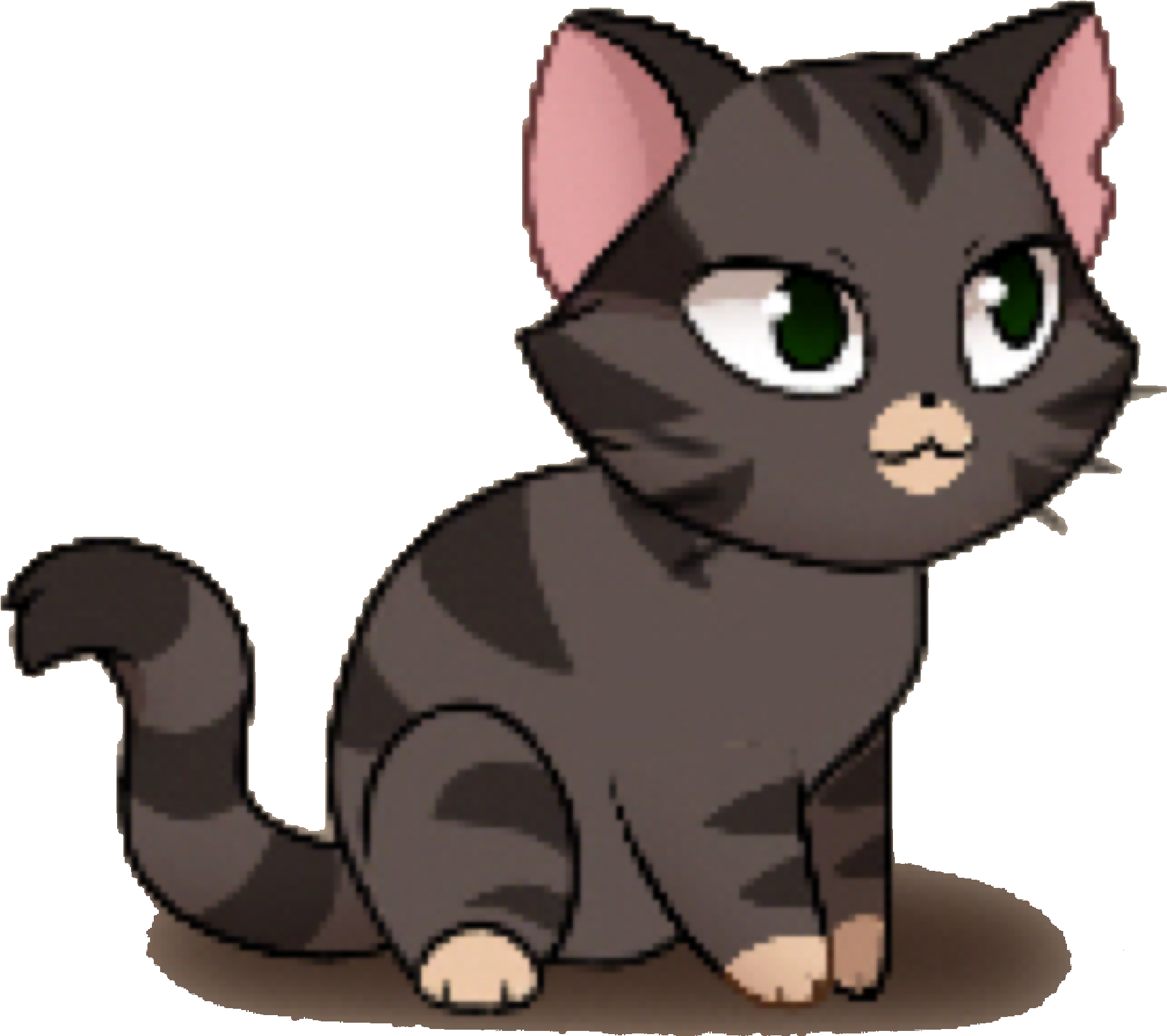 Rank 1, Rank 2, Rank - Castle Cats Katniss E Conan (2048x1808)