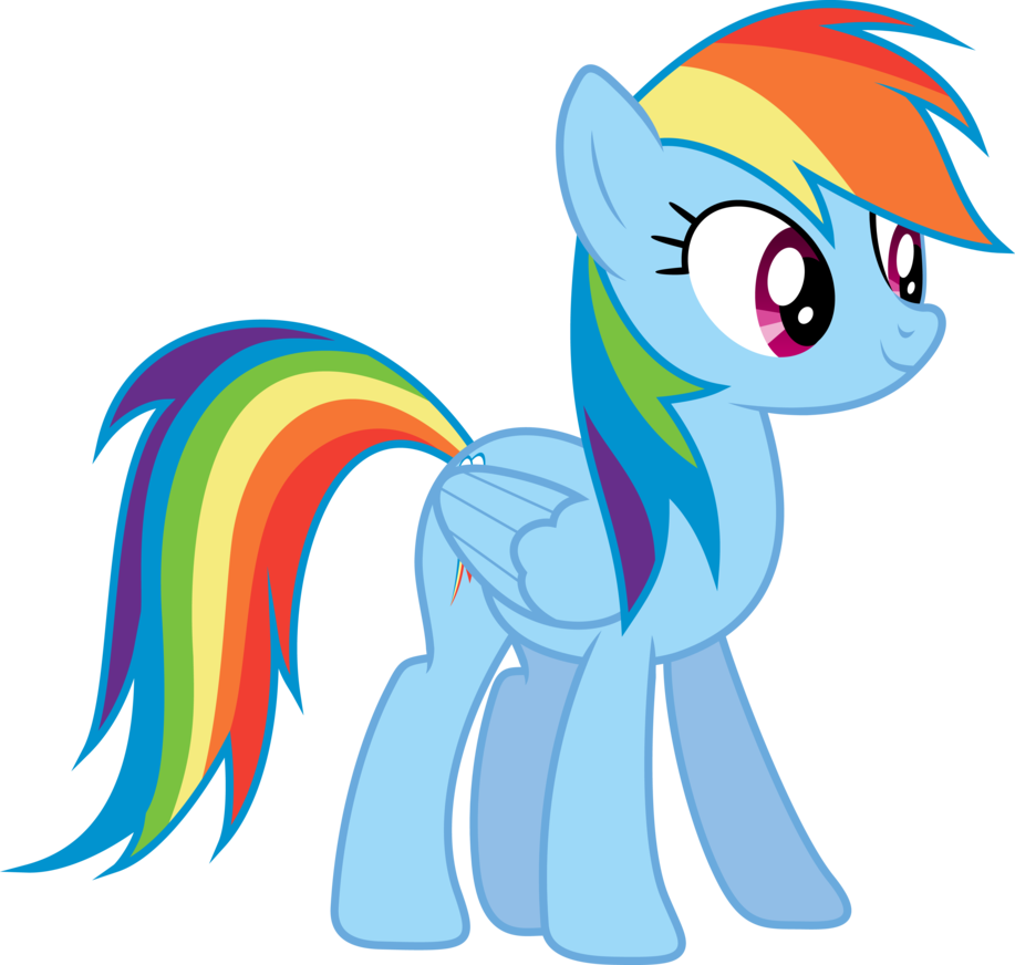 Rainbow Dash Standing By Djdavid98 - Rainbow Dash Vector Standing (917x872)