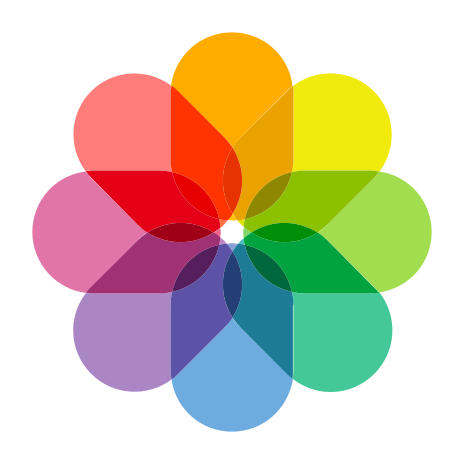 Apple, Gallery, Art, Photo, Photograph, Photography, - Ios 11 Gallery Icon Png (512x512)