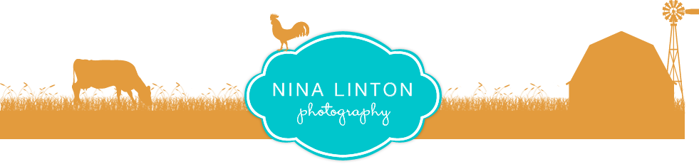 Nina Linton Photography Logo - Photography (981x231)
