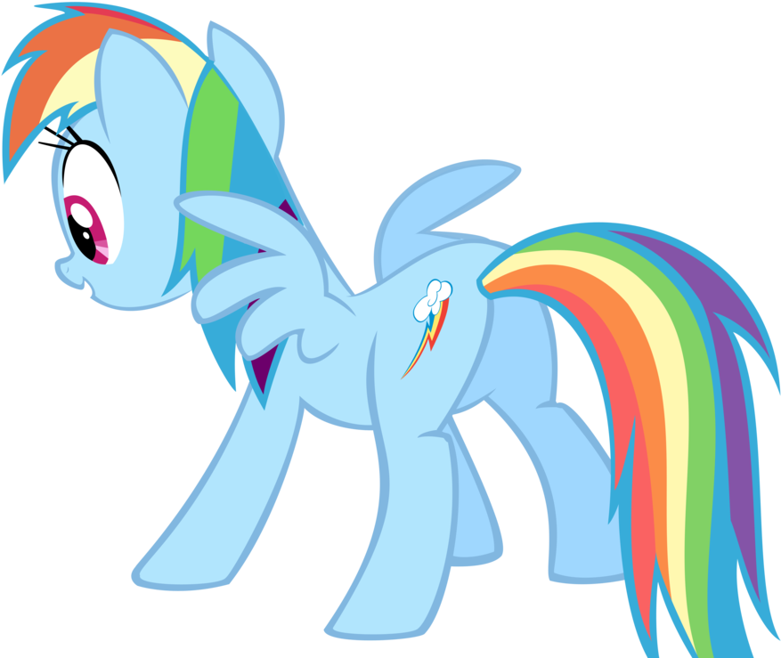My Little Pony Rainbow Dash Back (900x777)