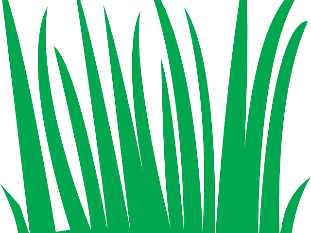 Lawn Clipart Simple - Lawn Clipart Simple (640x480)