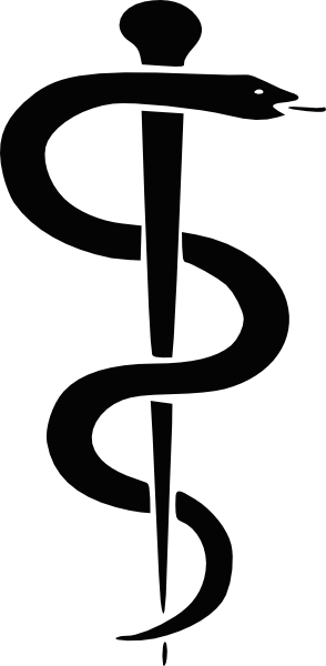 Rod Of Asclepius Nurse (294x600)