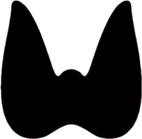 Stacks Image - Thyroid Gland Black Clipart (512x512)