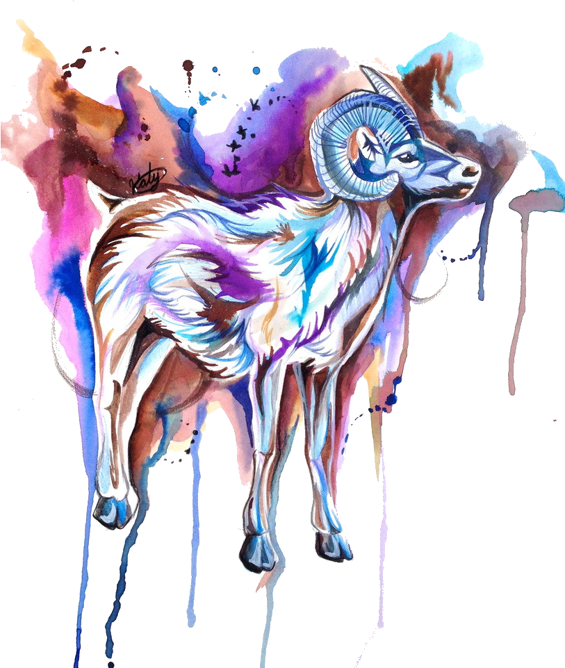 Tattoo Watercolor Painting Sheep Sketch - Tattoo Watercolor Painting Sheep Sketch (812x1024)