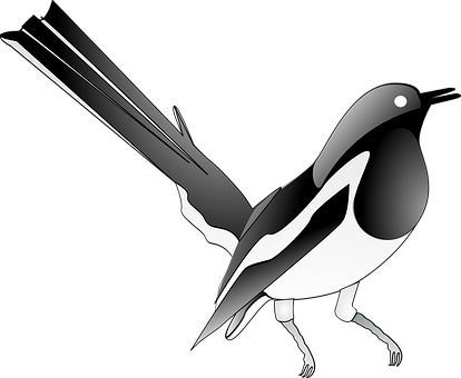 Magpie Songbird Bird Song Melody Singing B - Coloring Pages Magpie (414x340)