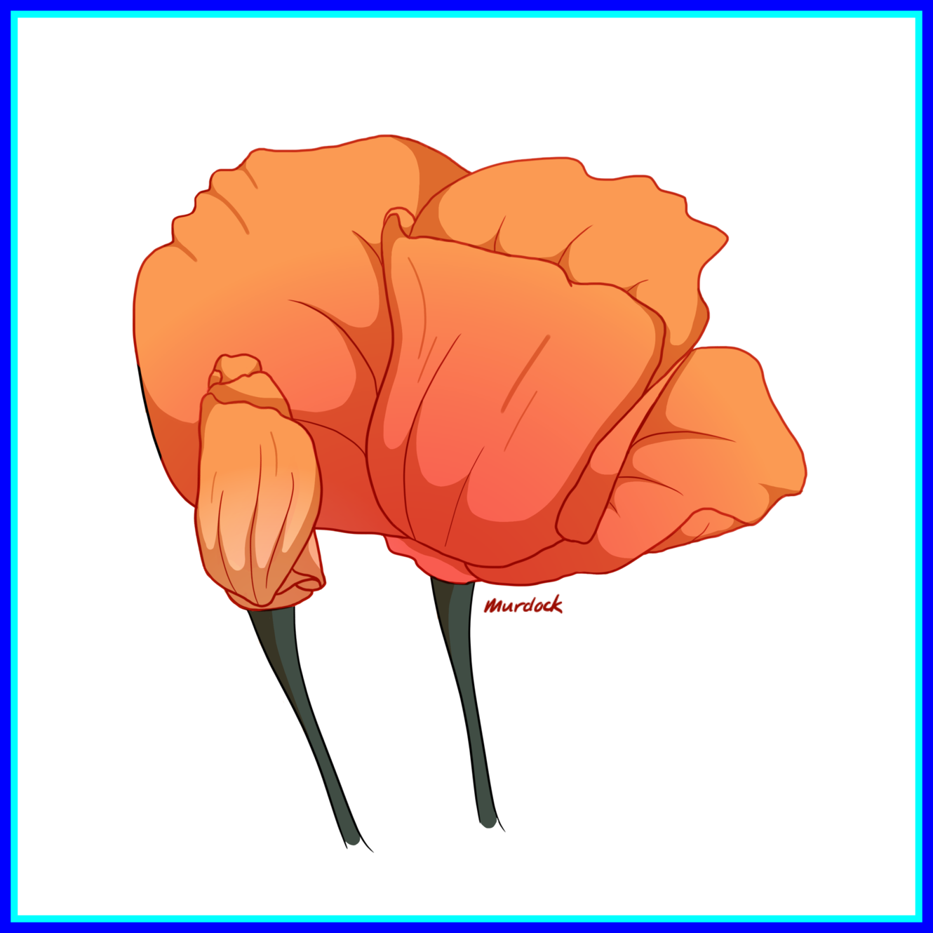 Best Poppy Art Pink Tumblr Of Red Carnation Flower - Poppy (1330x1330)