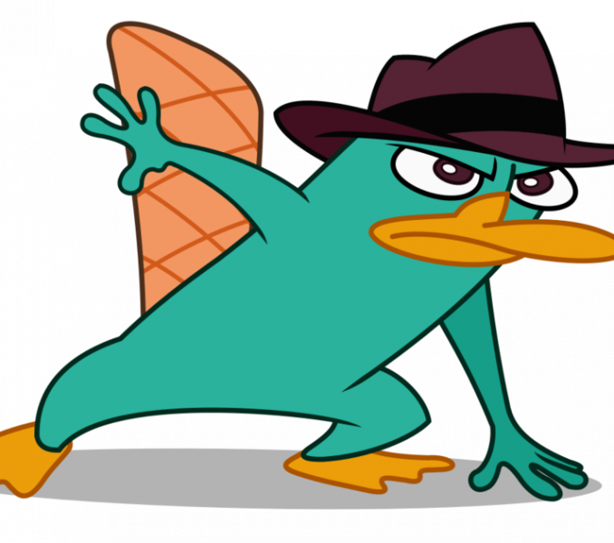 Perry The Platypus Picture Image Perry The Platypus - Platypus (678x600)